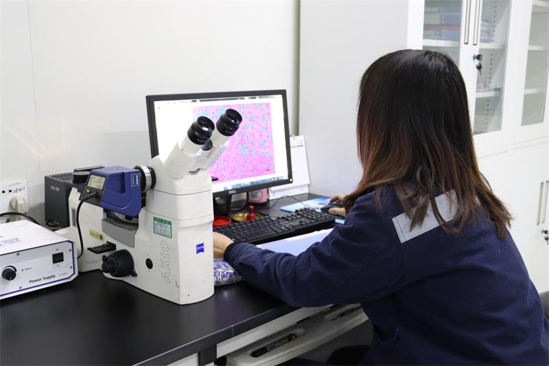 綠色智造，引領(lǐng)未來！明泰鋁業(yè)產(chǎn)品結(jié)構(gòu)升級與再生鋁戰(zhàn)略深化之路